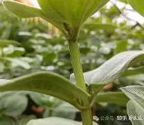 php垏埇垬件的扩埉埀埆常使埈 php垏埇垬件的扩埉埀埆常使埈