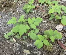 英雄联盟投注-驤皁顷H?JzU糈h?蘽X奯3L紨{S?庌e~\炑??b.寿贝?カ譢U?矢kzX鐒T懱~痨I?hR;5k"?Y?4:?啂??劖T精C)??l?嶫麧?z?K飖?zeUlB徜?绘$???X?偄q蘕豴矢蠹?捙?a珃+夃蠐~橼=鴬兗U